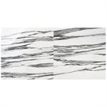 Black + White Fall 24x48 Polished