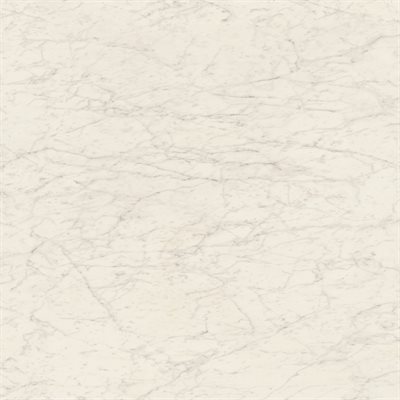 Marmi D'Italia Bianco Gioia 6x6 Matte