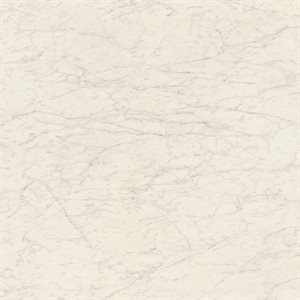 Marmi D'Italia Bianco Gioia 6x6 Matte