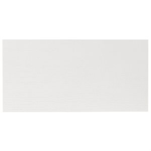 Speak Decoro Plaster White 12x24