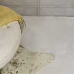 Marmi D'Italia Crema Avorio 24x24 Polished